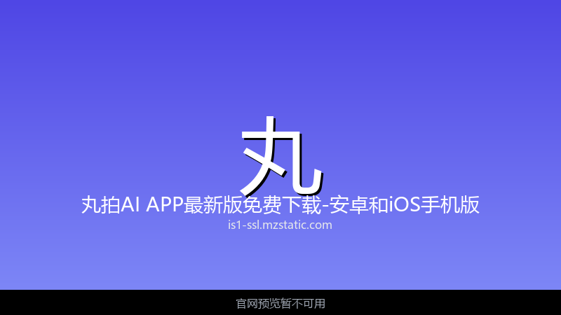 丸拍AI 界面截图