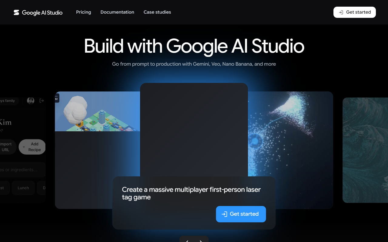 Google AI Studio 界面截图