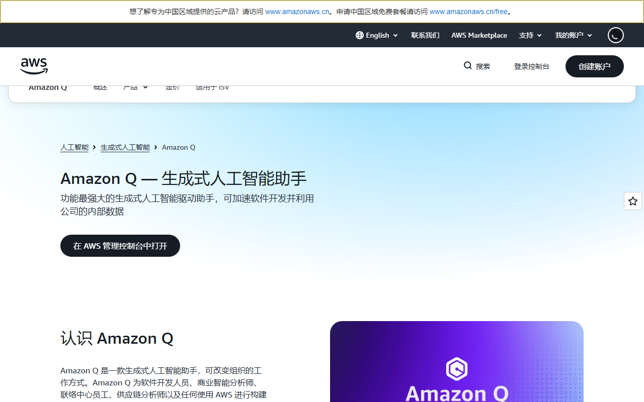 Amazon Q 界面截图