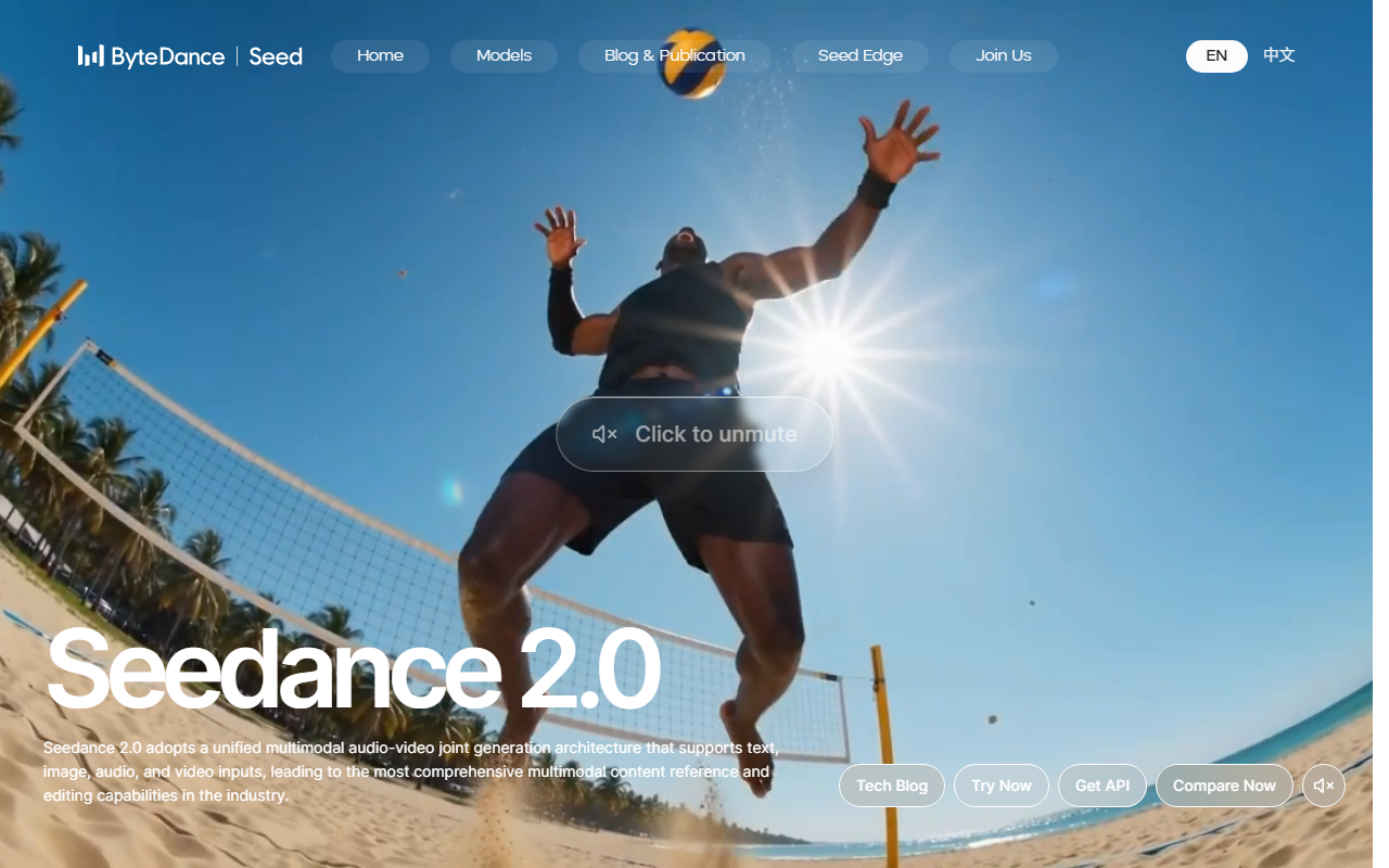 Seedance 2.0 界面截图